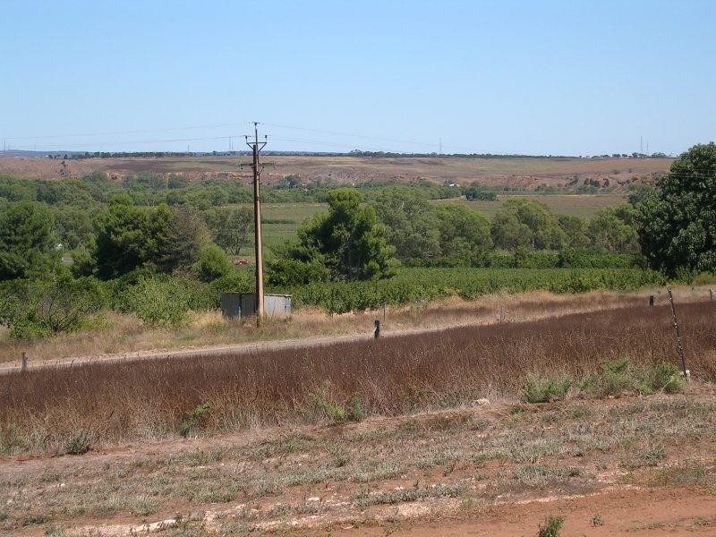 Murray Bridge SA 5254