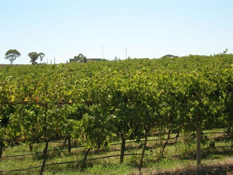 Murray Bridge SA 5254