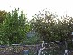 24 RAILWAY TERRACE, Coonalpyn SA 5265