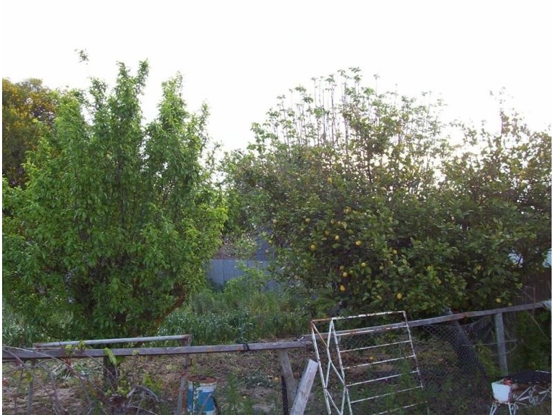 24 RAILWAY TERRACE, Coonalpyn SA 5265