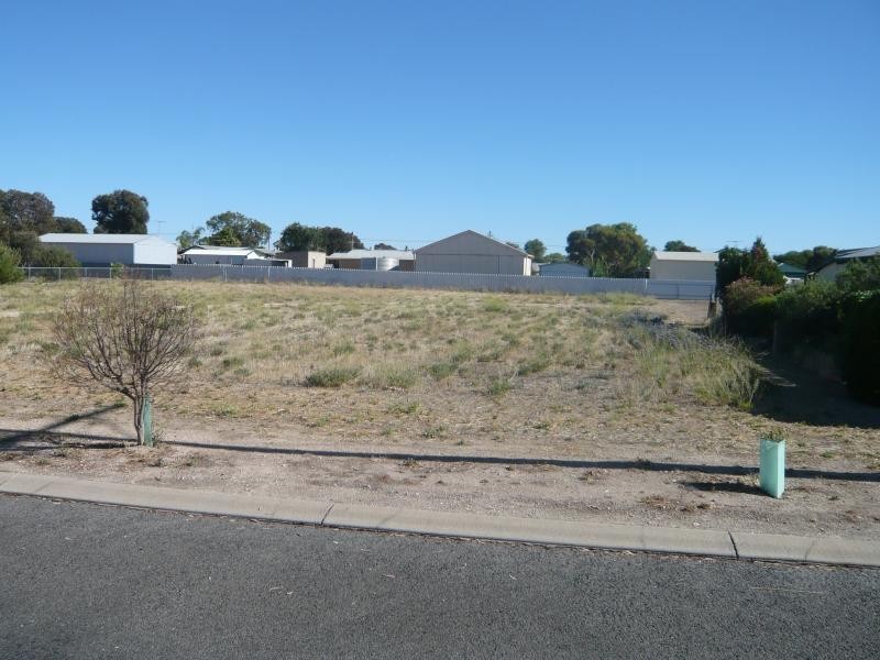 20 Karoonda Road, Tailem Bend SA 5260