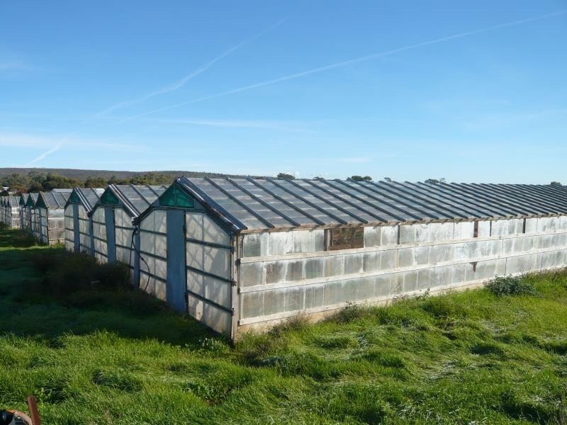 Lot 167/ Grassmere Drive, Murray Bridge SA 5253