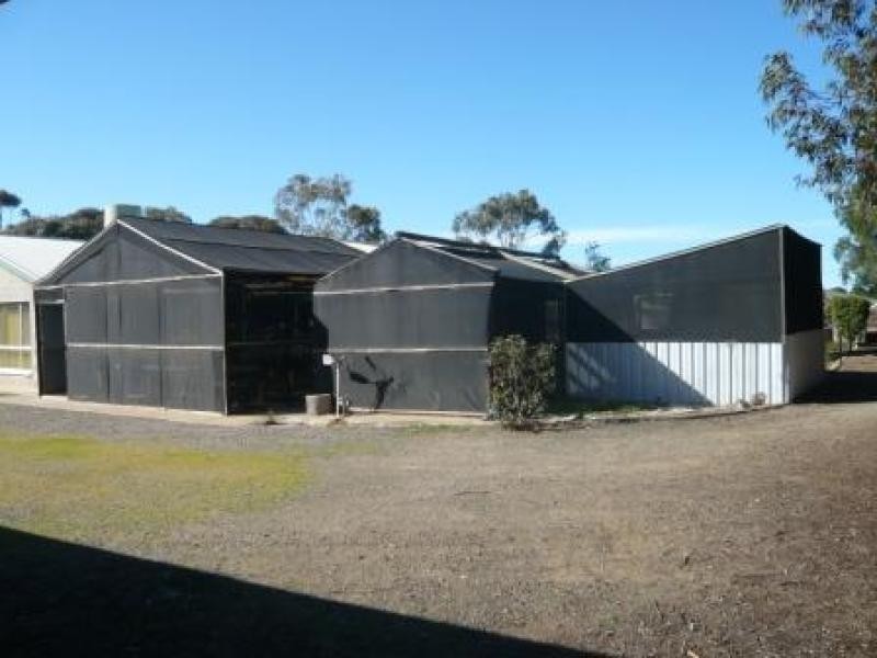 12 Warrigal Avenue, Murray Bridge East SA 5253