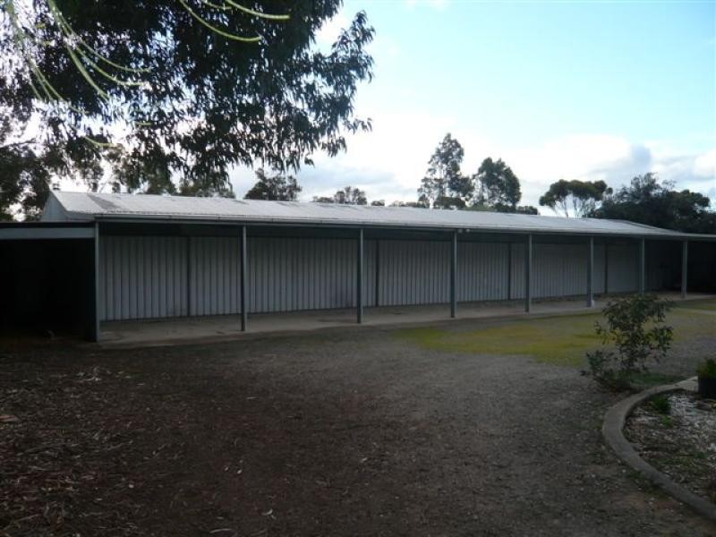 12 Warrigal Avenue, Murray Bridge East SA 5253