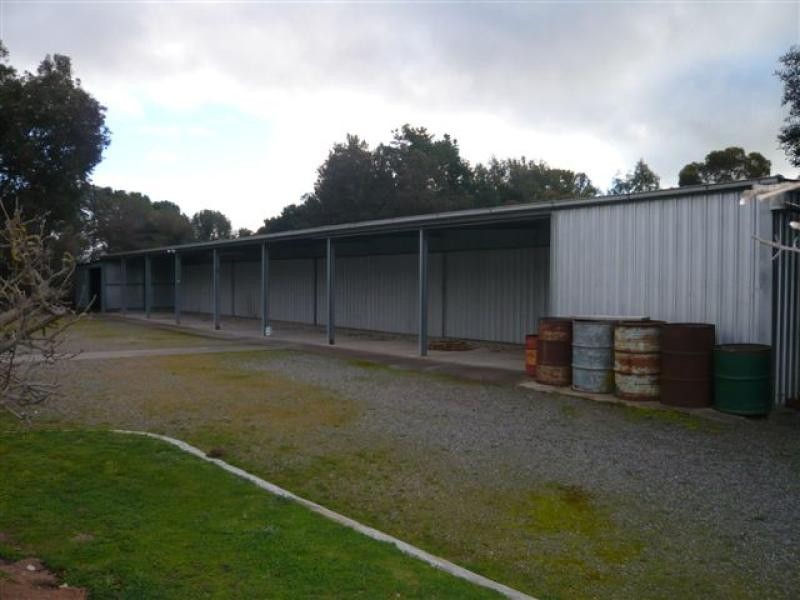 12 Warrigal Avenue, Murray Bridge East SA 5253