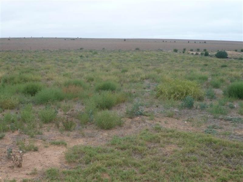 Lot 21/ Jendarra Court, Murray Bridge SA 5253