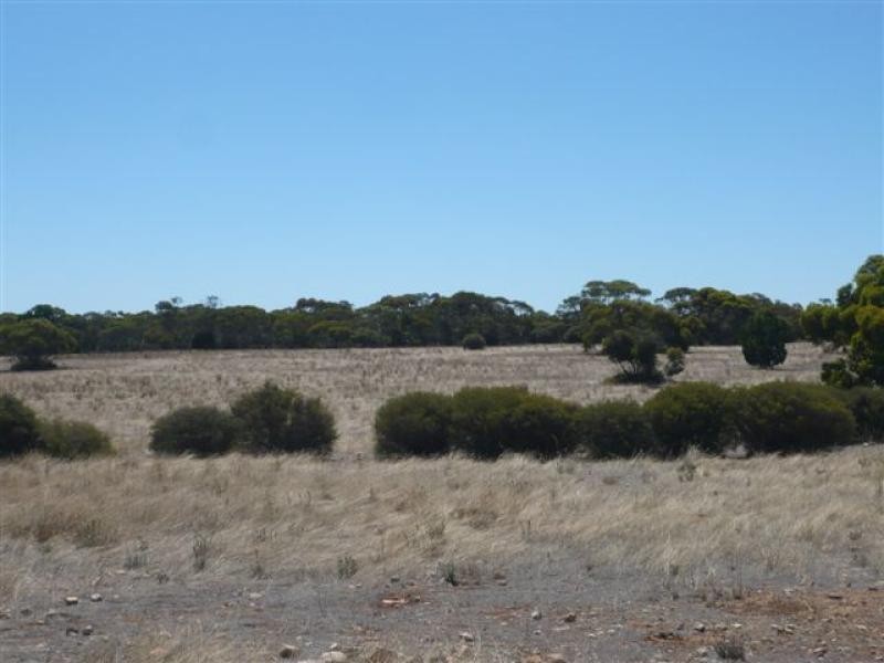 Lot 19/ Ferrie McDonald Road, Monarto South SA 5254