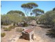 Lot 19/ Ferrie McDonald Road, Monarto South SA 5254