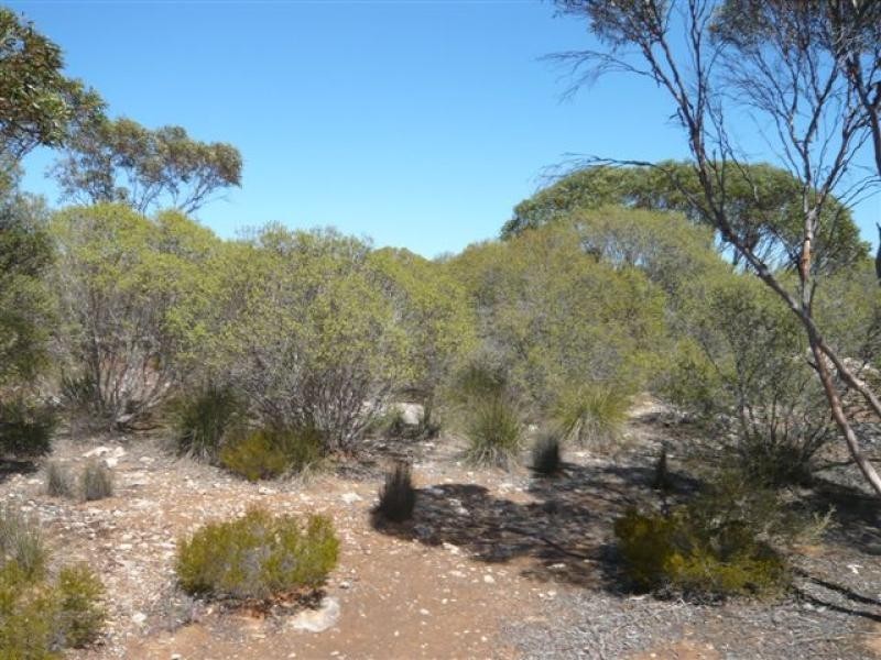 Lot 19/ Ferrie McDonald Road, Monarto South SA 5254