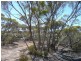 Lot 19/ Ferrie McDonald Road, Monarto South SA 5254