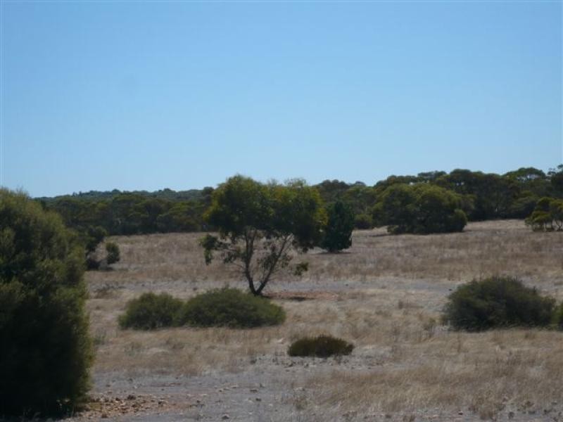 Lot 19/ Ferrie McDonald Road, Monarto South SA 5254