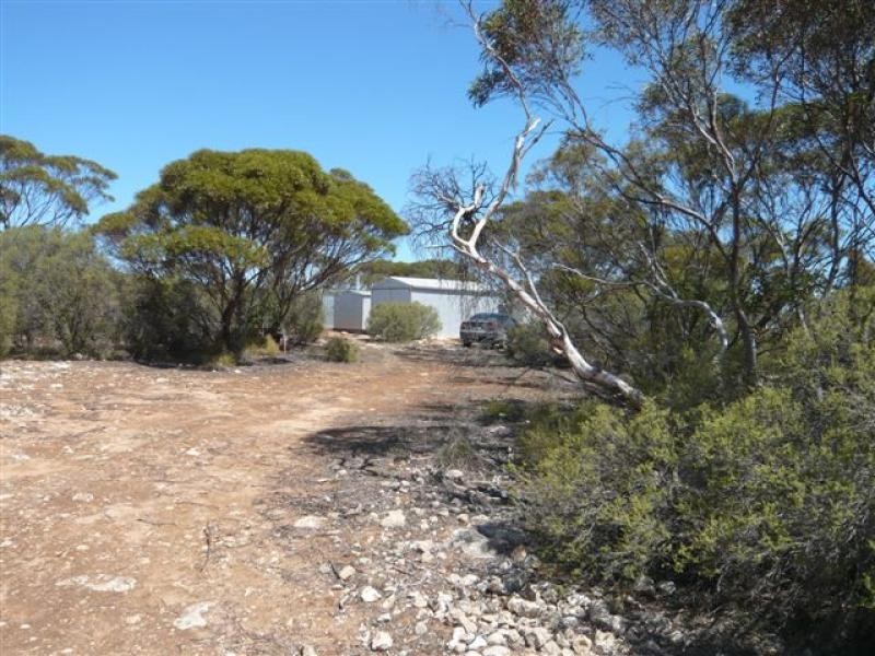 Lot 19/ Ferrie McDonald Road, Monarto South SA 5254