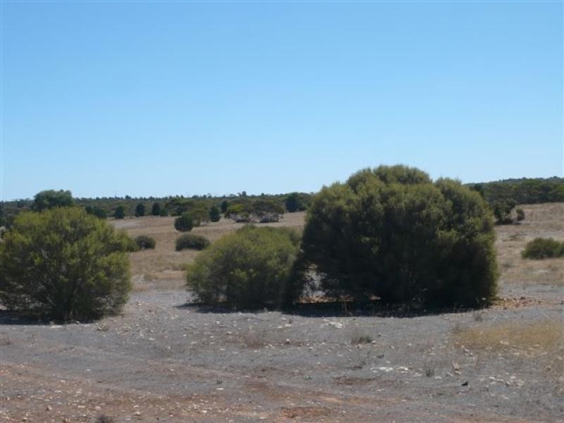 Lot 19/ Ferrie McDonald Road, Monarto South SA 5254