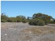 Lot 19/ Ferrie McDonald Road, Monarto South SA 5254
