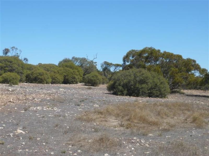 Lot 19/ Ferrie McDonald Road, Monarto South SA 5254