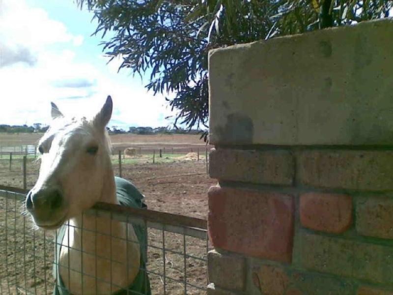 Section 1156/ Bakehouse Road, Mypolonga SA 5254