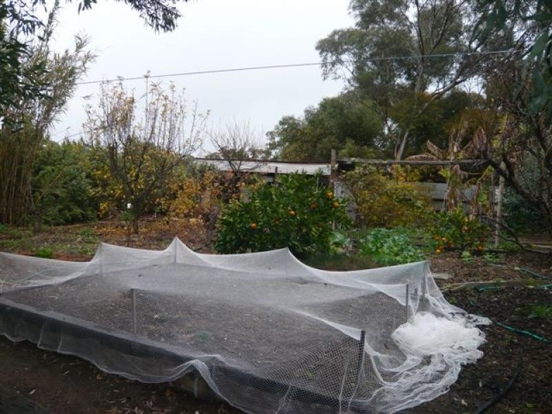 214 Mannum Road, Murray Bridge SA 5253