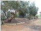 Lot 148/ Princes Highway, Murray Bridge SA 5253