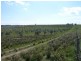 Tailem Bend SA 5260