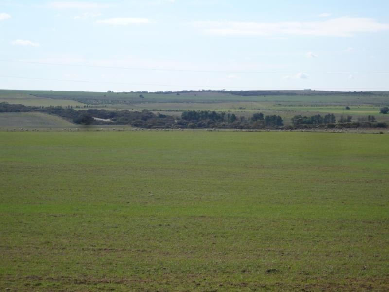 Tailem Bend SA 5260