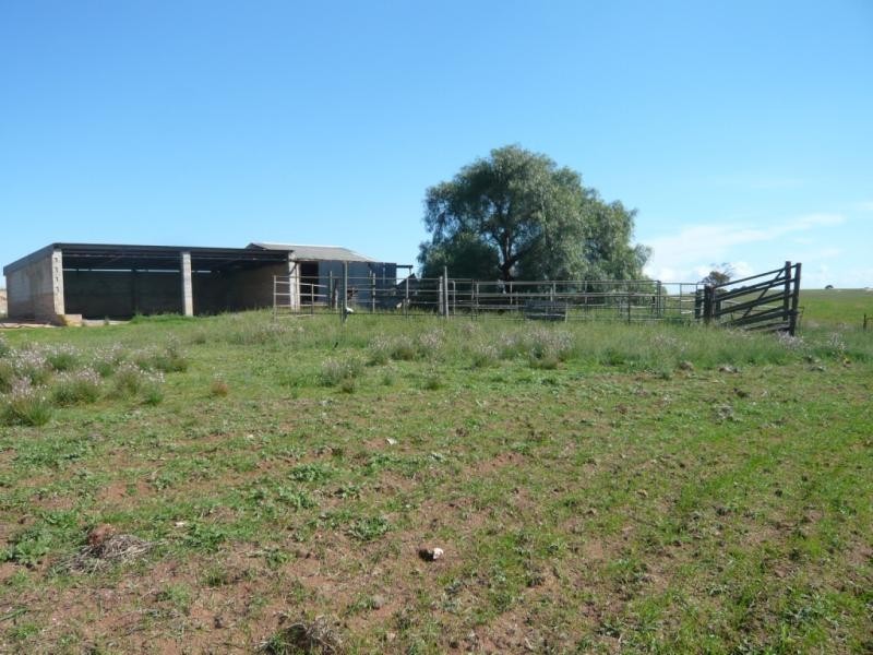 Tailem Bend SA 5260