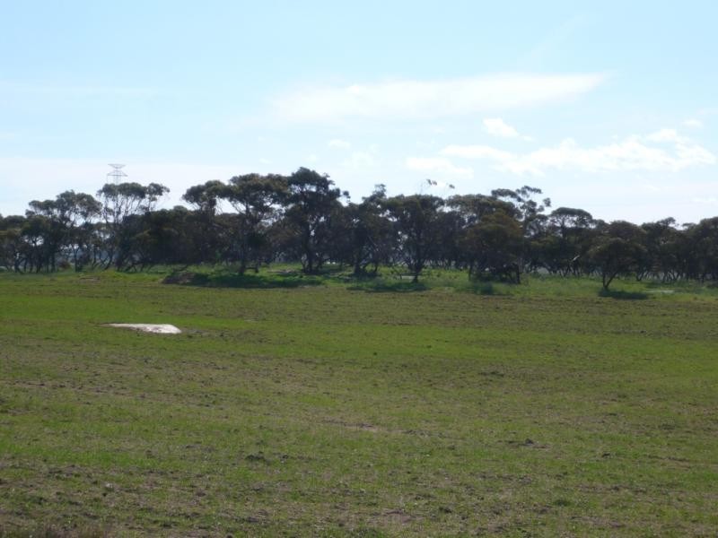 Tailem Bend SA 5260