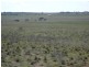 Tailem Bend SA 5260