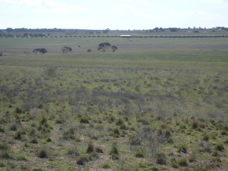 Tailem Bend SA 5260