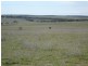 Tailem Bend SA 5260
