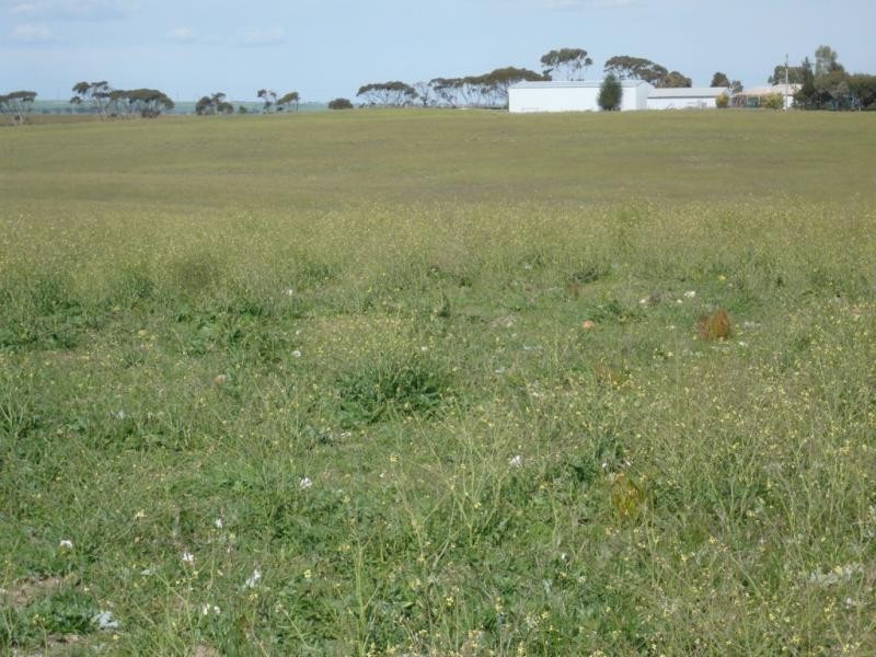 Tailem Bend SA 5260