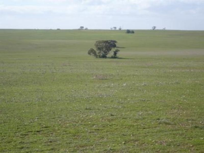 Lot 4/ Bowhill Road, Murray Bridge SA 5253