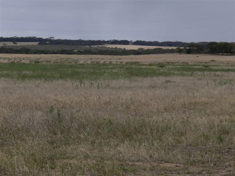 Lot 231/ and 232 Kepa Road, Murray Bridge SA 5253