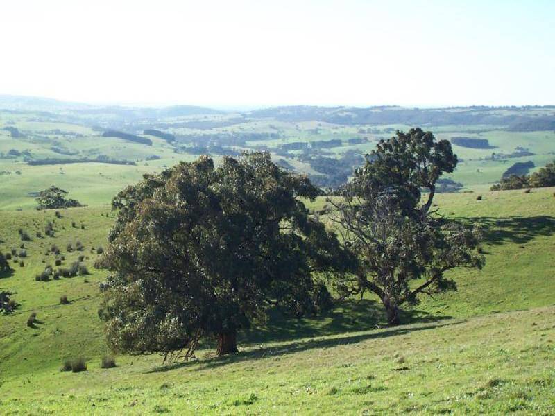LOT 25 MT ROBINSON ROAD, Back Valley SA 5211