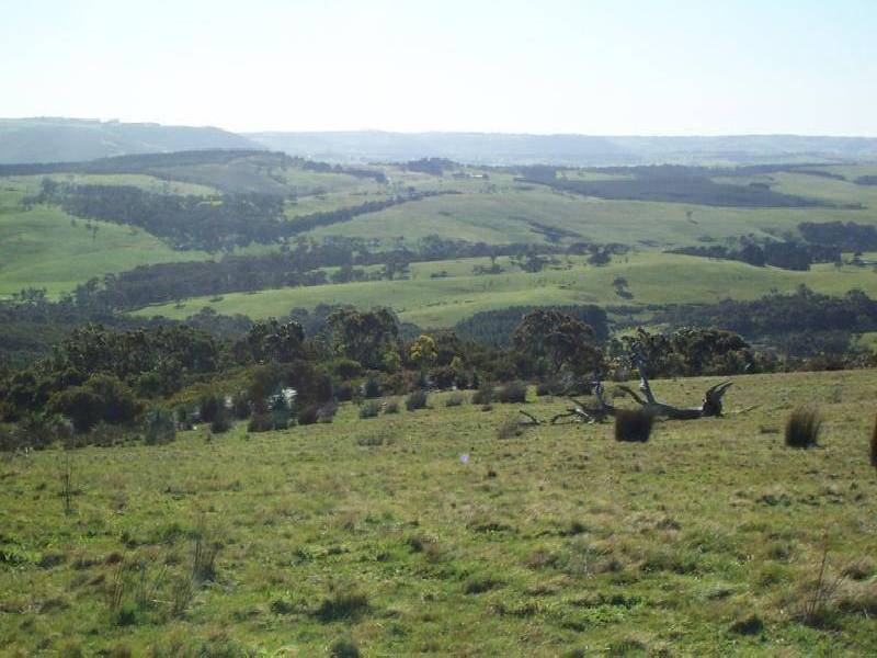 LOT 25 MT ROBINSON ROAD, Back Valley SA 5211