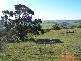 LOT 25 MT ROBINSON ROAD, Back Valley SA 5211
