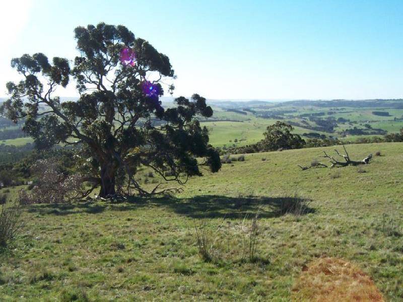LOT 25 MT ROBINSON ROAD, Back Valley SA 5211