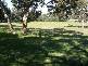 LOT 9 HENDERSON ROAD, Victor Harbor SA 5211