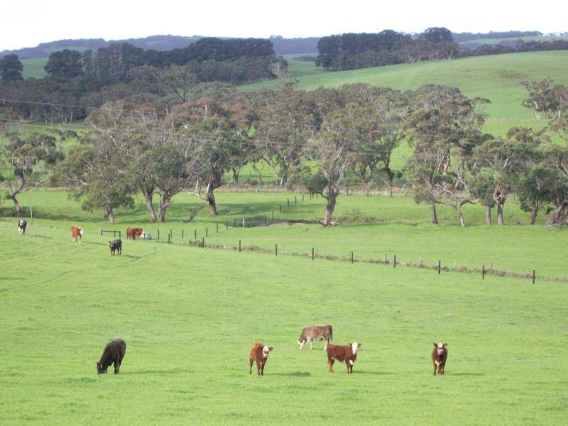 LOT 15 BACK VALLEY ROAD, Back Valley SA 5211