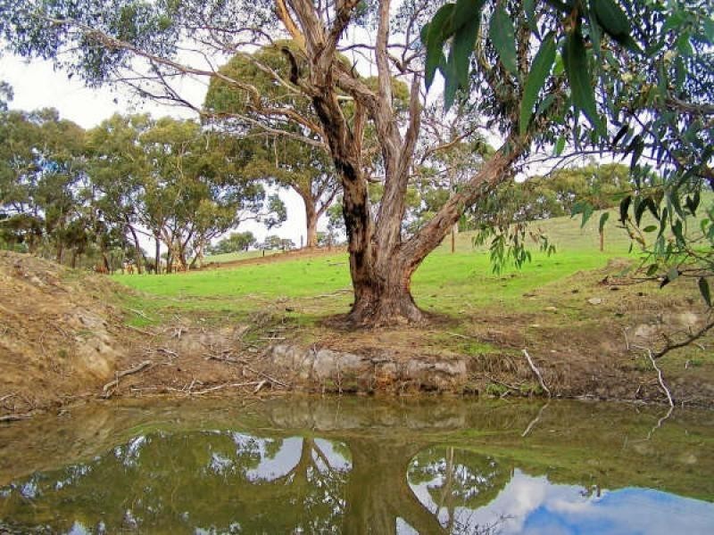 LOT 51 SNEYD ROAD, Victor Harbor SA 5211