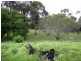Lot 3 Bashams Road, Victor Harbor SA 5211