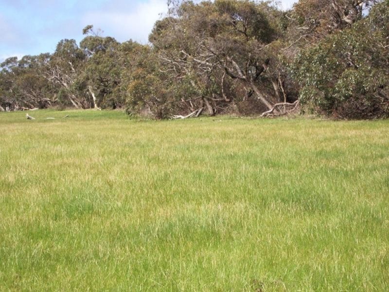 Lot 19 Lanacoona Road, Mount Compass SA 5210