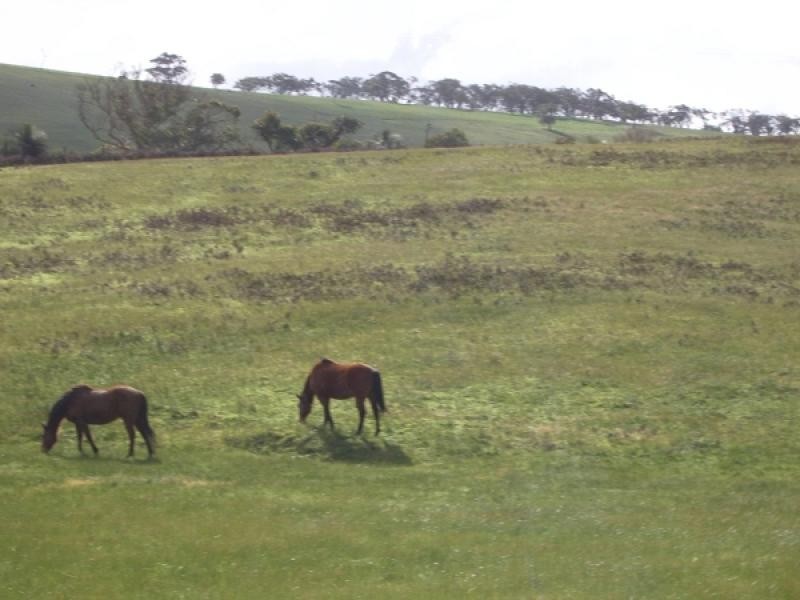 Lot 19 Lanacoona Road, Mount Compass SA 5210