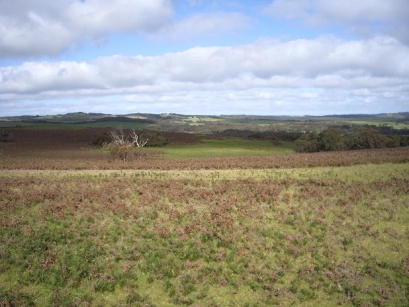 Lot 19 Lanacoona Road, Mount Compass SA 5210