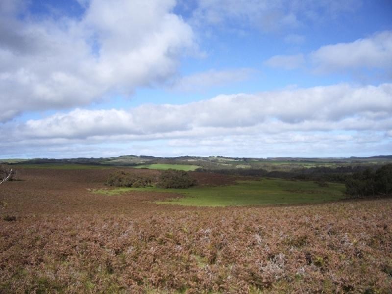 Lot 19 Lanacoona Road, Mount Compass SA 5210