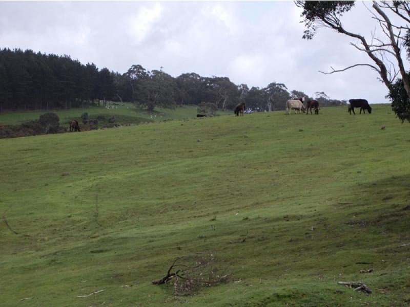 Section 36 Bedlam Flat Road, Delamere SA 5204