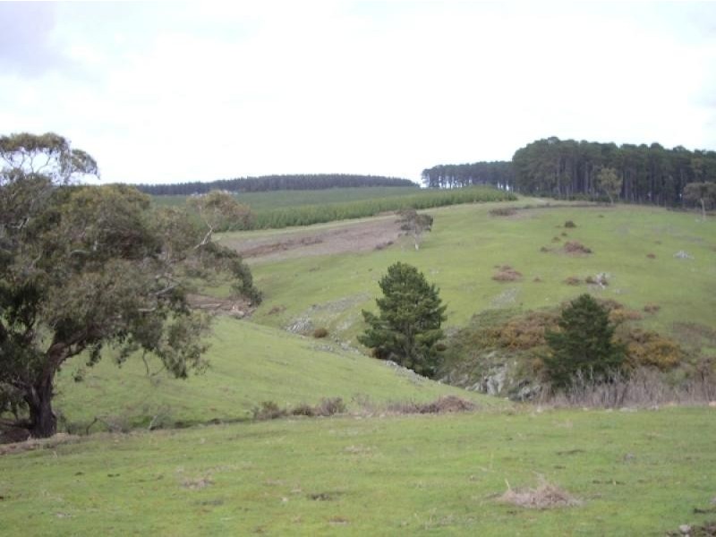 Section 36 Bedlam Flat Road, Delamere SA 5204