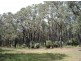 Section 36 Bedlam Flat Road, Delamere SA 5204