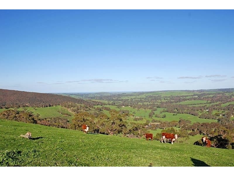 Lot 2, & 3 Polwarth Drive, Inman Valley SA 5211