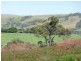 Lot 139 Crow Road, Pages Flat SA 5172