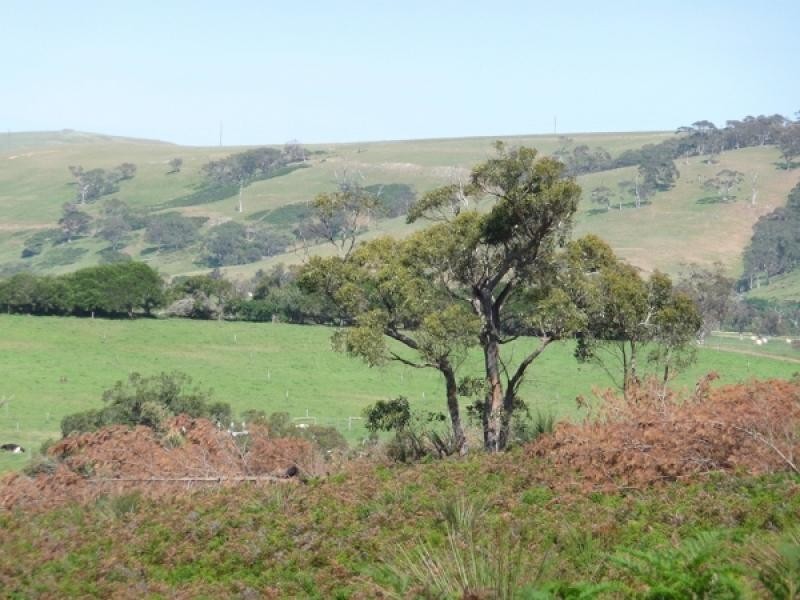 Lot 139 Crow Road, Pages Flat SA 5172